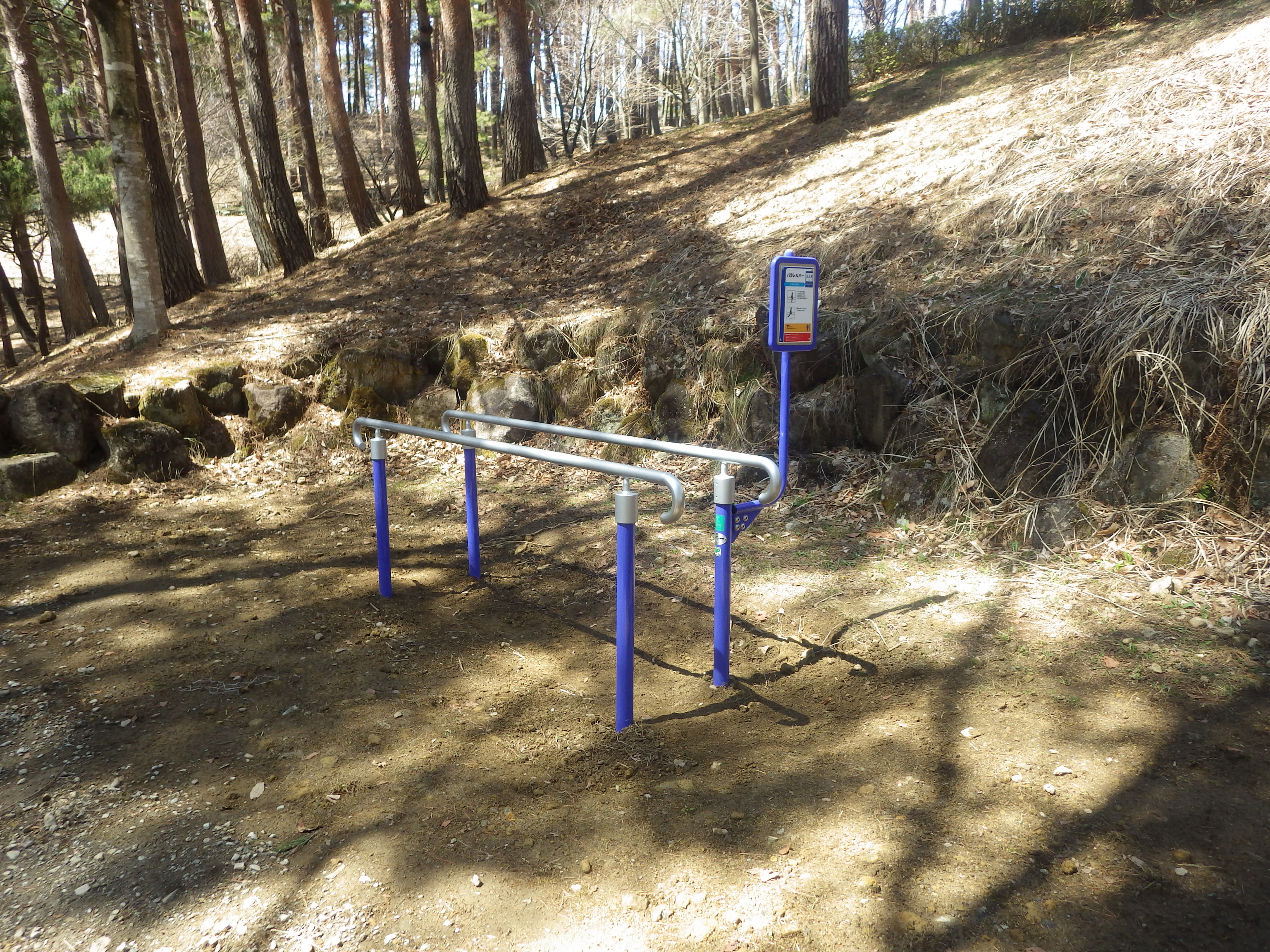 信州,上田,東御,サポートベンチ,観客席,ジャングルジム,ブランコ,鉄棒,遊具,公園施設製品,ワールドドリーム ドットコム