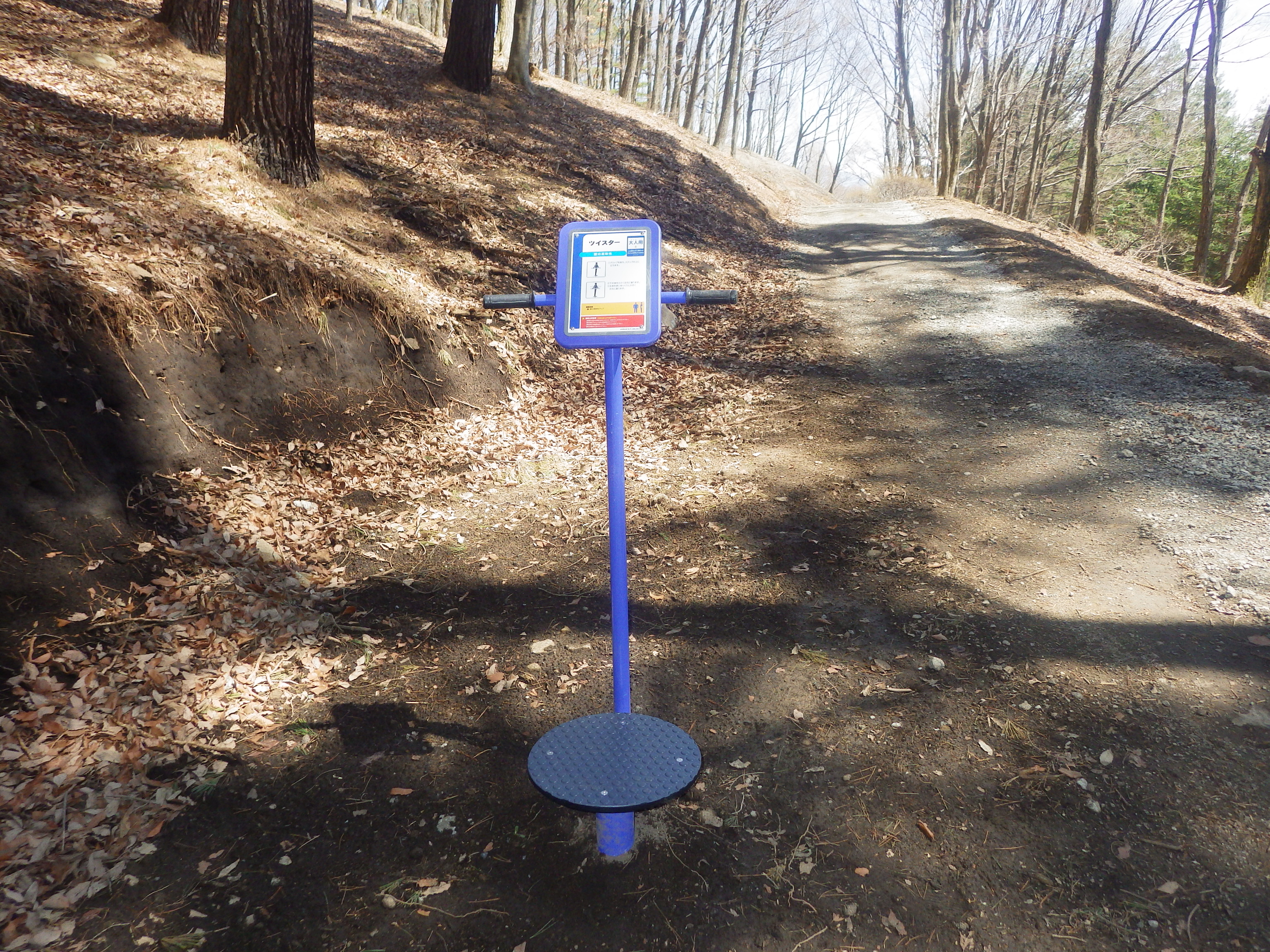 信州,上田,東御,サポートベンチ,観客席,ジャングルジム,ブランコ,鉄棒,遊具,公園施設製品,ワールドドリーム ドットコム